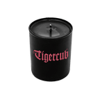 Nets To Catch The Wind Listening Pack