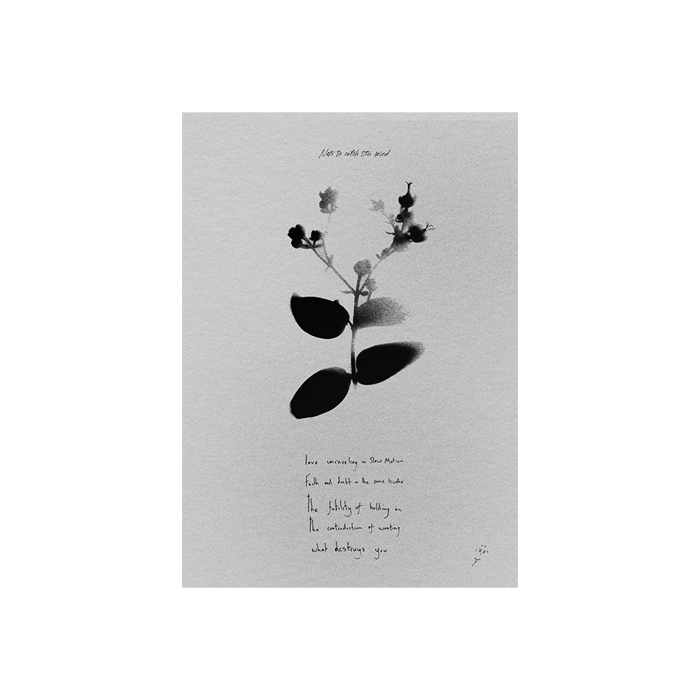 Nets To Catch The Wind Listening Pack